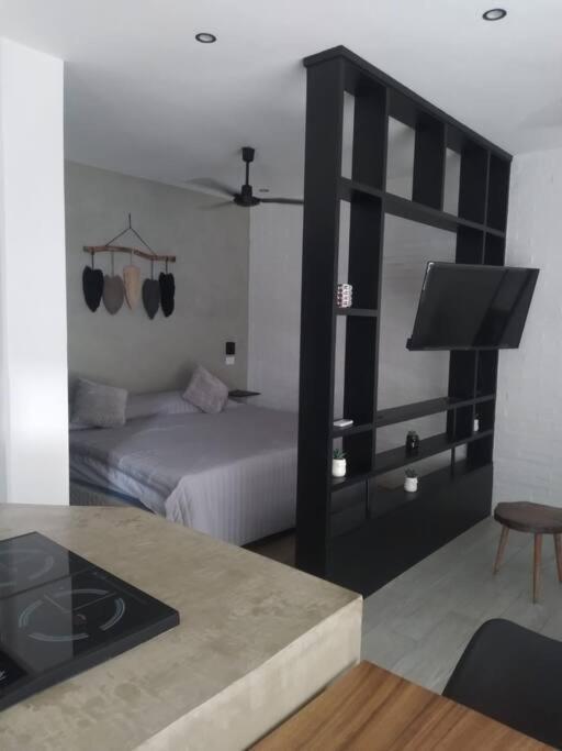 Loft En Apartment Tulum